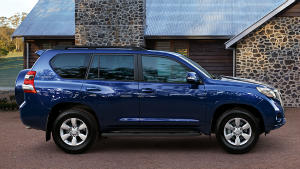Prado ownership